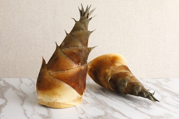 photo: Brandisii bamboo shoot