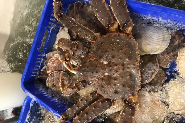 photo: Hokkaido King crab